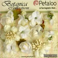 Набор объемных цветов Petaloo - Botanica Minis - White
