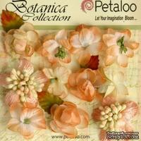 Набор объемных цветов Petaloo - Botanica Minis - Peach