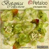 Набор объемных цветов Petaloo - Botanica Minis - Pistachio