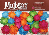Набор цветов Petaloо - New Mini Mulb.Paper Delphiniums - Fush/Grn/Blu/Orng