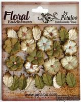Набор цветов и листиков Petaloo - Darjeeling Petites Cream/Green, 24 шт.