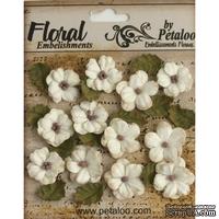 Набор цветов и листиков Petaloo - Petites - Teastained Cream