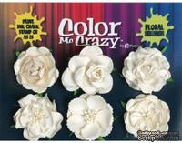 Набор объемных цветов (роз) Petaloo - Color Me Crazy Mixed Floral