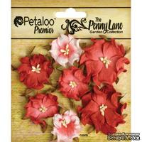 Набор объемных цветов (диких роз) Petaloo - Penny Lane Mini Wild Roses x7 - Antique Red