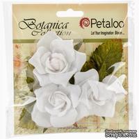 Набор цветов Petaloo - Botanica Fairy Roses - White