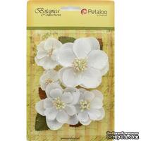 Набор цветов Petaloo - Botanica Magnolia Mix - White