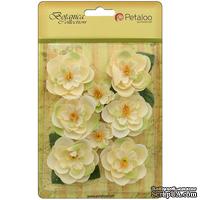 Набор цветов Petaloo - Botanica Ranunculus - Ivory