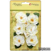Набор цветов Petaloo - Botanica Ranunculus - White
