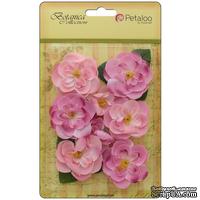 Набор цветов Petaloo - Botanica Ranunculus - Soft Pink