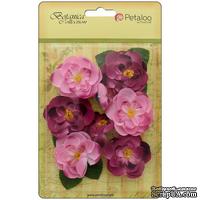 Набор цветов Petaloo - Botanica Ranunculus - Fuchsia