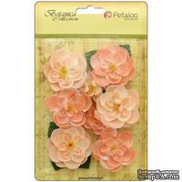 Набор цветов Petaloo - Botanica Ranunculus - Peach