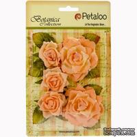 Набор цветов Petaloo - Botanica Garden Roses - Peach